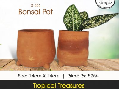 Clay Bonsai Pot