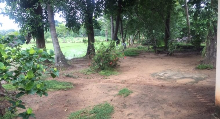 Land and Hotel Property for sale – Polonnaruwa