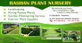 Rashan Plant Nursery