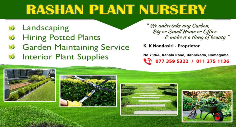 Rashan Plant Nursery
